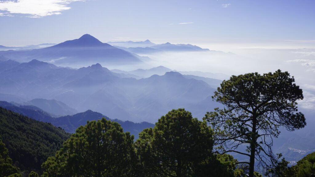 60bad43b b358 4665 80f7 254799fcce0e